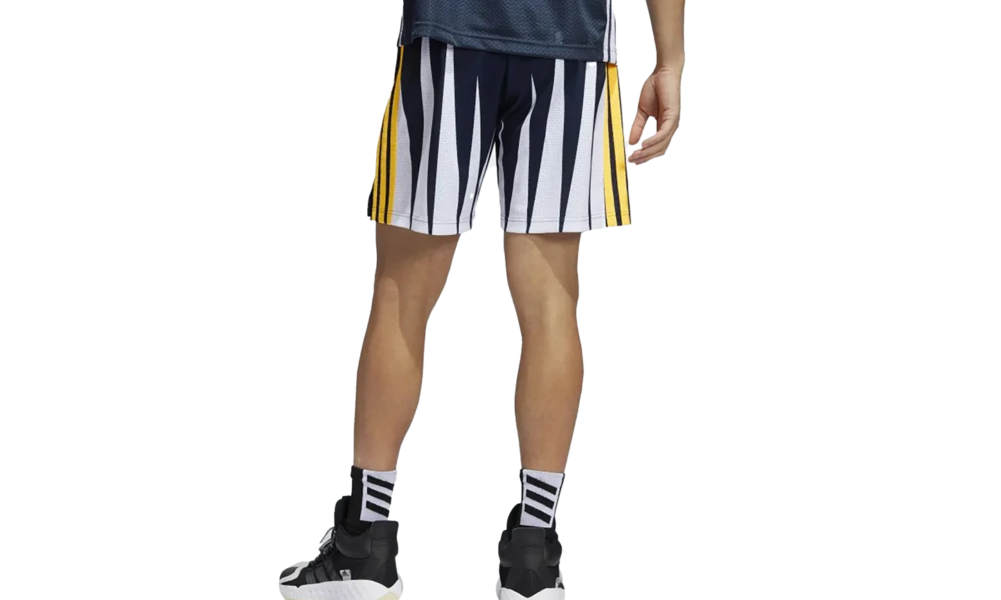 Eric Emanual Hoops Summer Essentials Shorts "Legend Ink" H56398