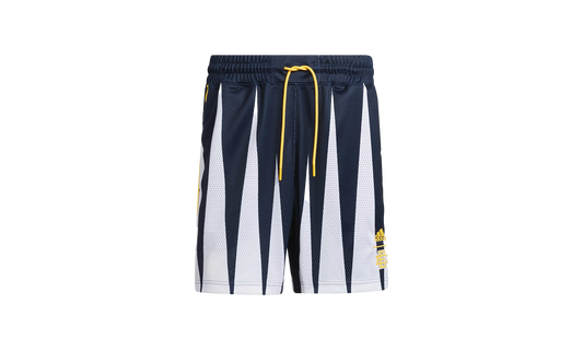 Eric Emanual Hoops Summer Essentials Shorts "Legend Ink" H56398
