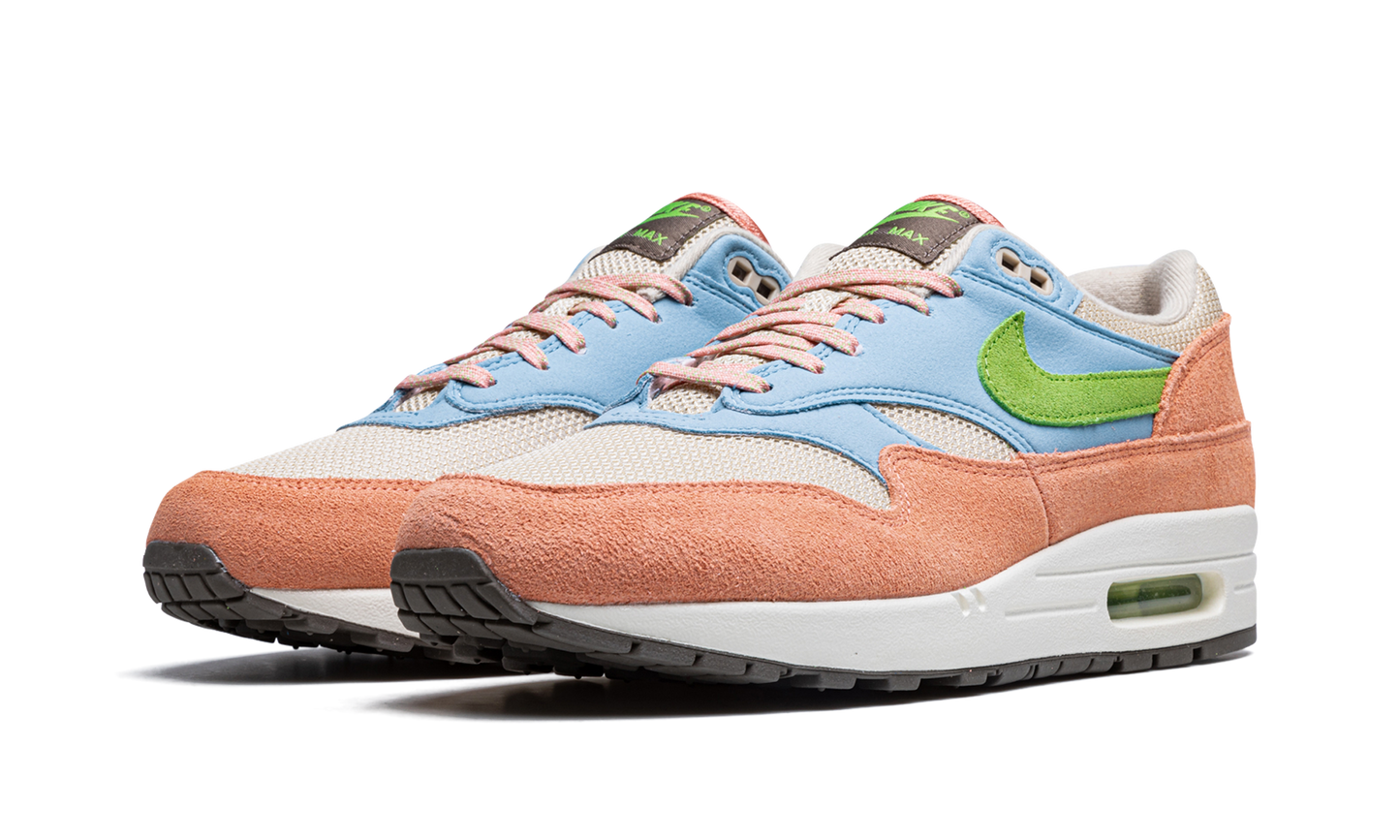 Air Max 1 "Light Madder Root" DV3196 800