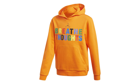 Hooded Sweatshirt "Pharrell Williams" FR9064